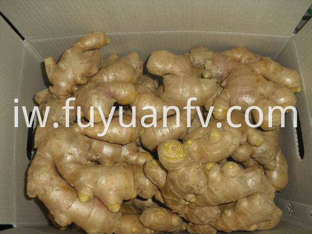 air dried ginger 